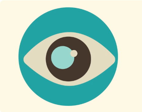 Our Vision