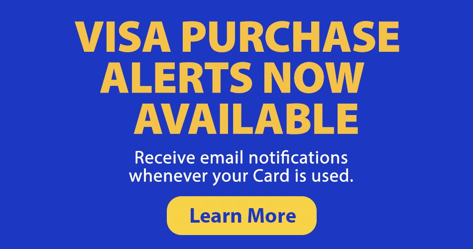 VISA Purchase Alerts VISA Purchase Alerts